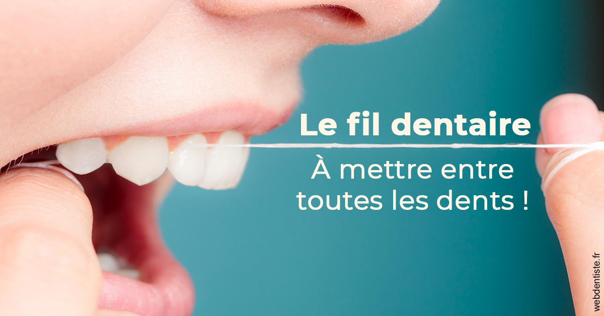 https://dr-fabrice-vernet.chirurgiens-dentistes.fr/Le fil dentaire 2