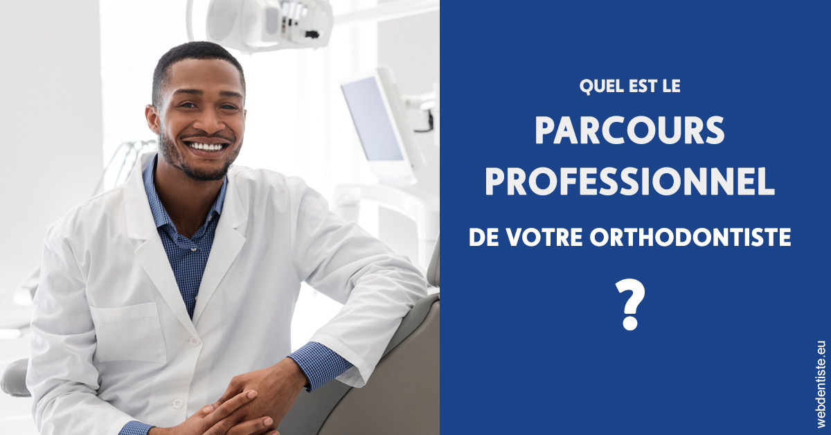 https://dr-fabrice-vernet.chirurgiens-dentistes.fr/Parcours professionnel ortho 2