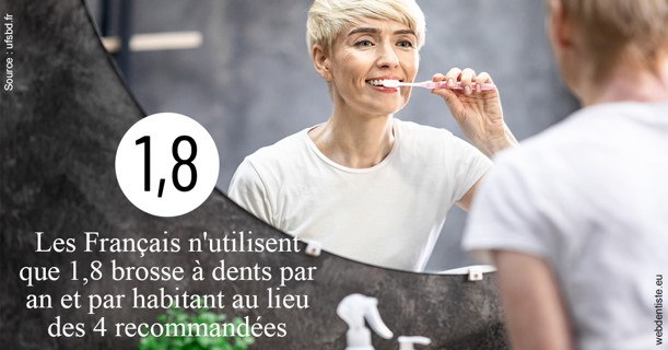 https://dr-fabrice-vernet.chirurgiens-dentistes.fr/Français brosses 2
