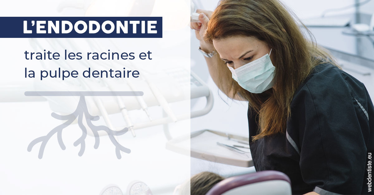 https://dr-fabrice-vernet.chirurgiens-dentistes.fr/L'endodontie 1