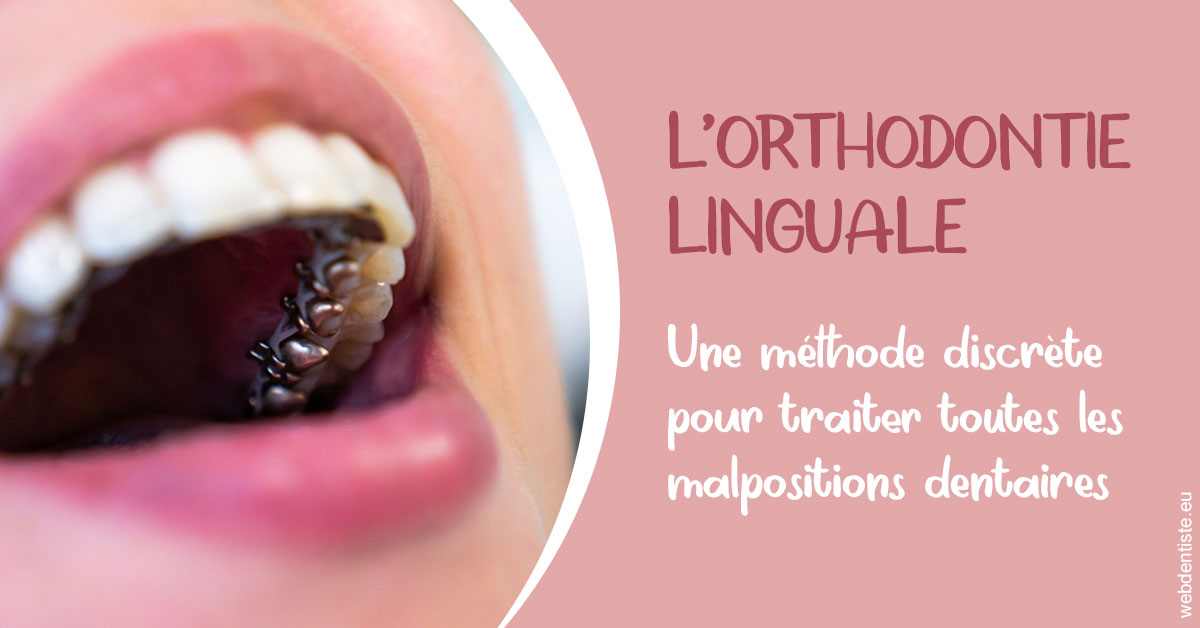 https://dr-fabrice-vernet.chirurgiens-dentistes.fr/L'orthodontie linguale 2