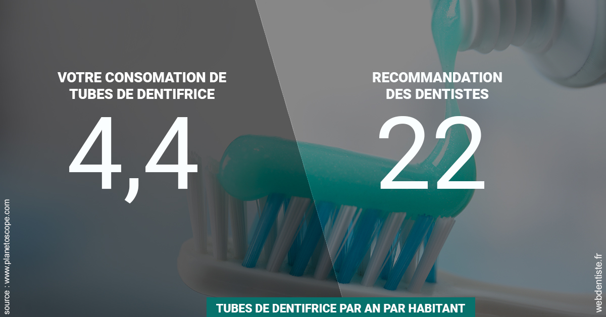 https://dr-fabrice-vernet.chirurgiens-dentistes.fr/22 tubes/an 2