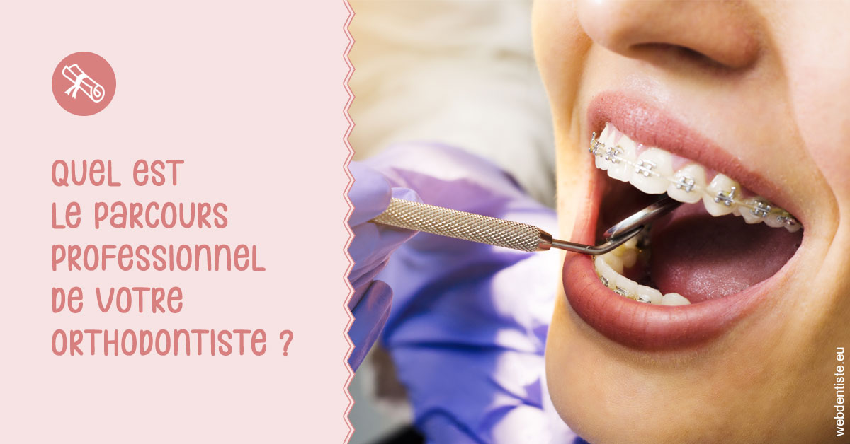 https://dr-fabrice-vernet.chirurgiens-dentistes.fr/Parcours professionnel ortho 1
