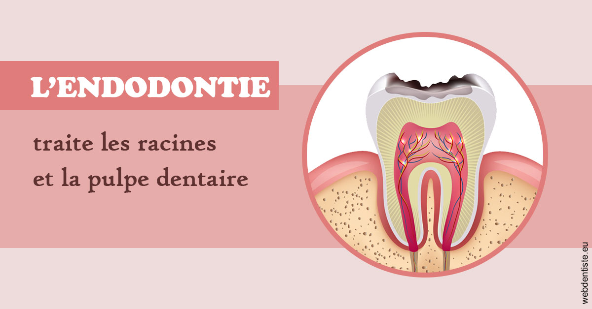 https://dr-fabrice-vernet.chirurgiens-dentistes.fr/L'endodontie 2