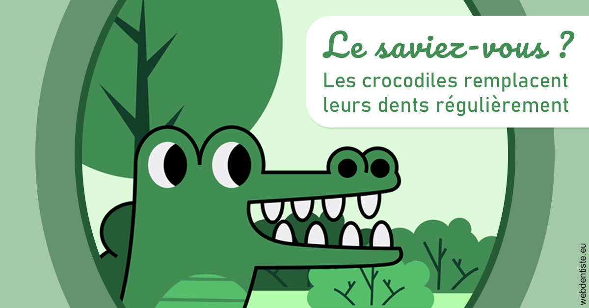 https://dr-fabrice-vernet.chirurgiens-dentistes.fr/Crocodiles 2