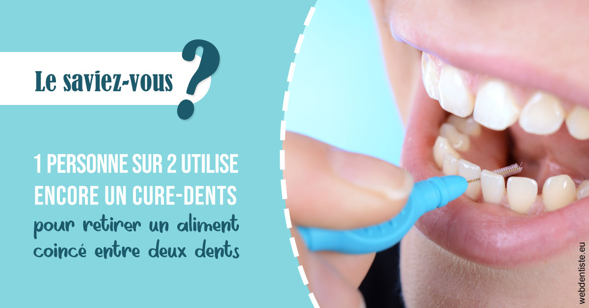 https://dr-fabrice-vernet.chirurgiens-dentistes.fr/Cure-dents 1