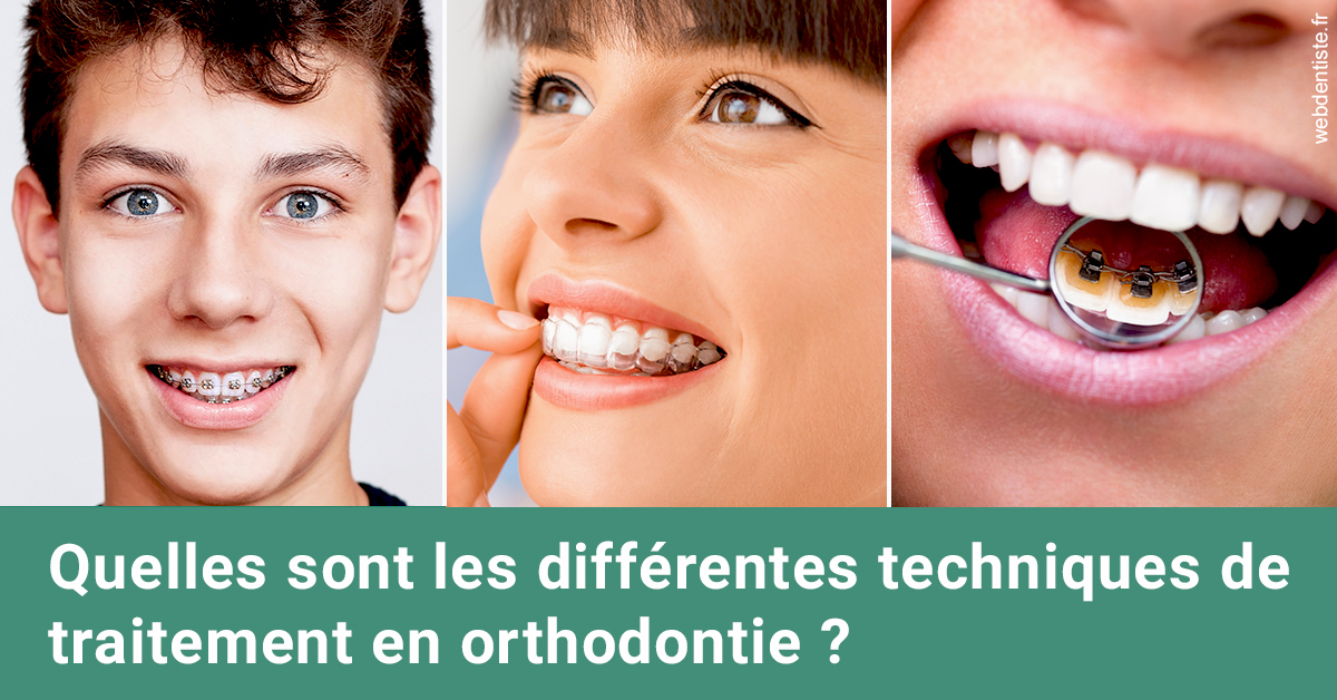 https://dr-fabrice-vernet.chirurgiens-dentistes.fr/Les différentes techniques de traitement 2