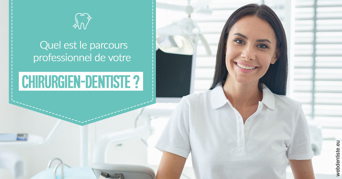 https://dr-fabrice-vernet.chirurgiens-dentistes.fr/Parcours Chirurgien Dentiste 2