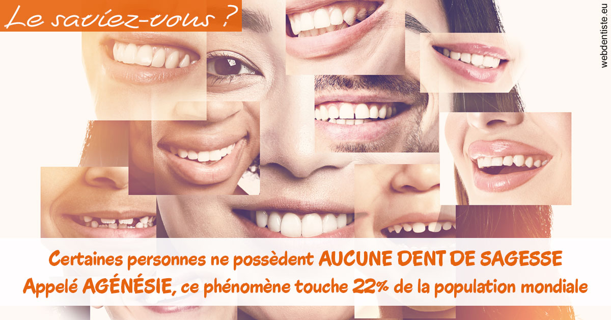 https://dr-fabrice-vernet.chirurgiens-dentistes.fr/Agénésie 2
