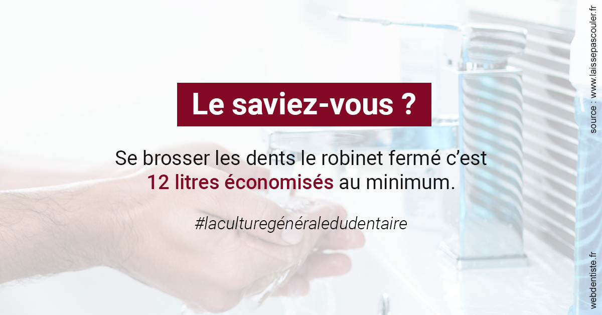 https://dr-fabrice-vernet.chirurgiens-dentistes.fr/Economies d'eau 2