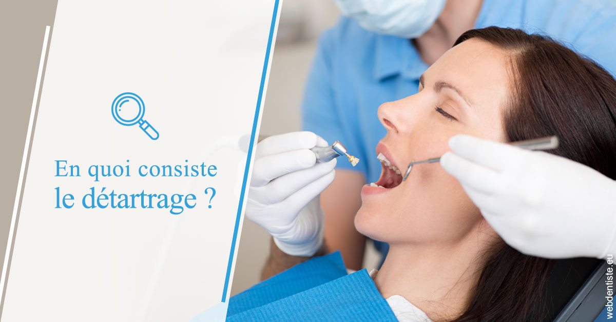 https://dr-fabrice-vernet.chirurgiens-dentistes.fr/En quoi consiste le détartrage